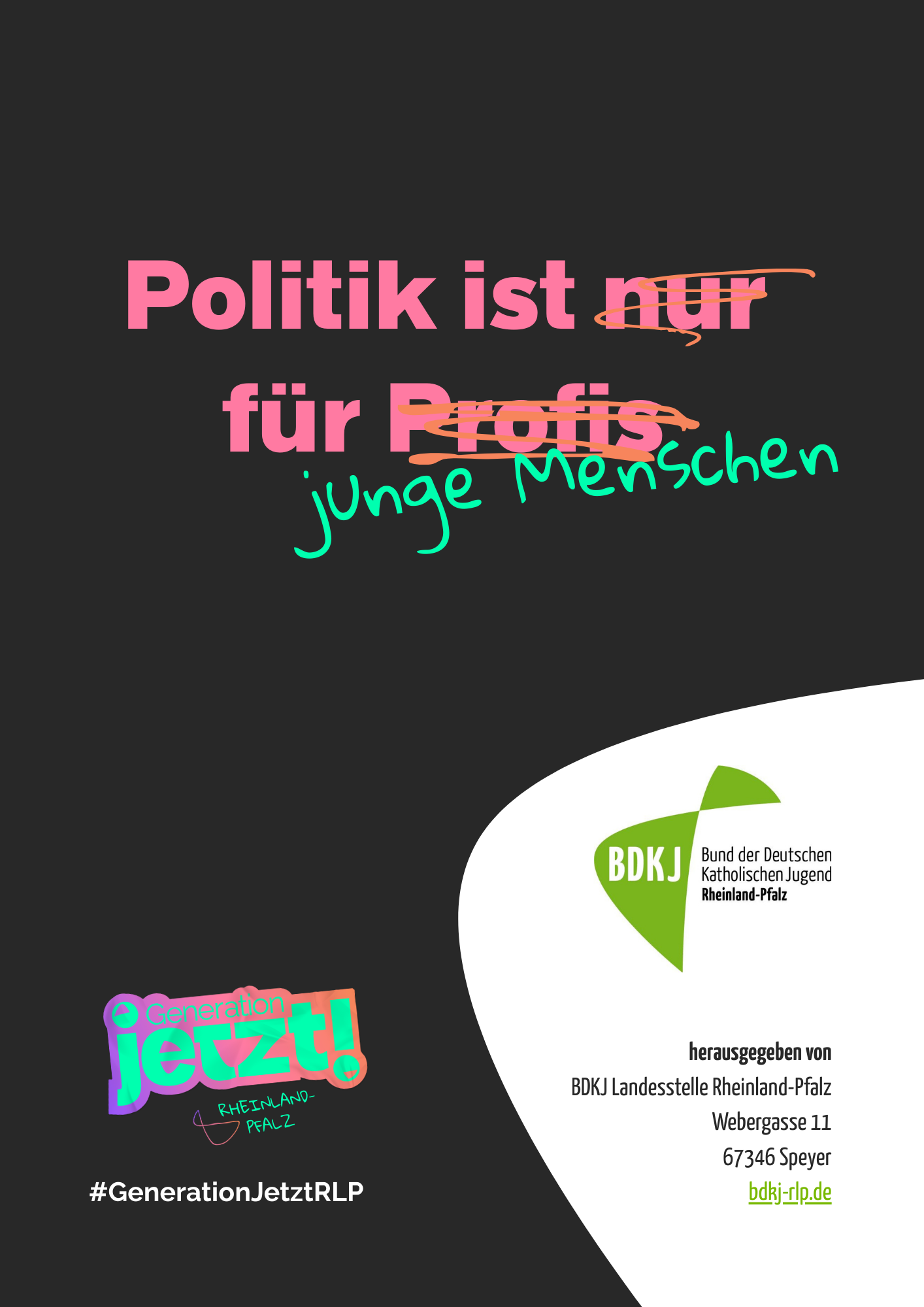 Das Bild zeigt das Cover eine Broschüre. In roter Schrift auf schwarz steht Politik ist nur für Profis. Profis wurde durchgestrichen und durch junge Menschen in grüner Schrift ersetzt.